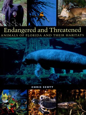cover image of Endangered and Threatened Animals of Florida and Their Habitats
